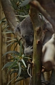 Kids_DZoo-SBreak2012 (132)